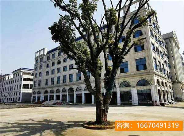 湘军高级中学什么时候开学 山东16市中小学2023暑假时间公布