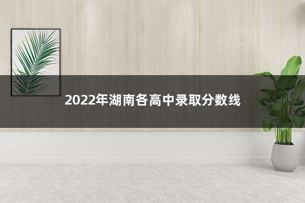 长沙普高最低录取分数线2023年_2023年湖南各高中录取分数线