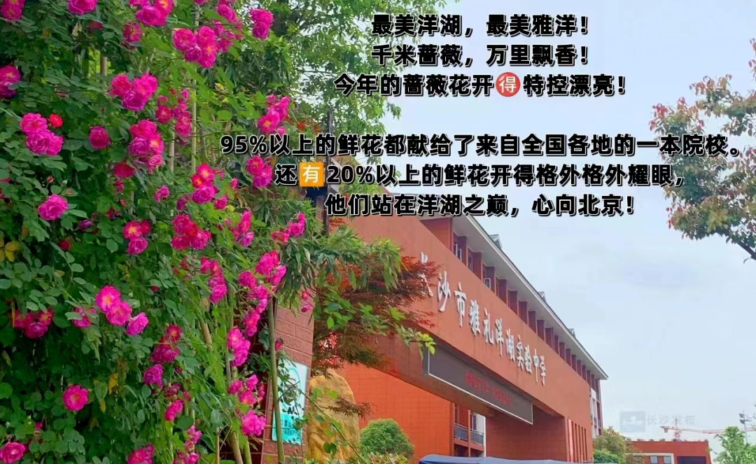 长沙市望城金海高级中学重点班 初升高择校参考！长沙多所公民办高中招生录取详情汇总！