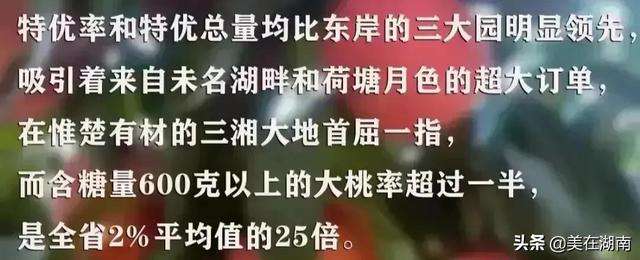 长沙金海高中复读生住几楼 长沙金海中学（长沙金海中学升学率）