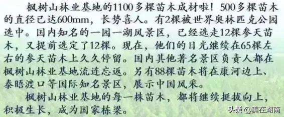 长沙金海高中复读生住几楼 长沙金海中学（长沙金海中学升学率）