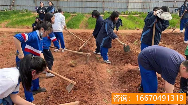 长沙市金海高级中学在哪里 2020长沙中考成绩有C就没高中读？