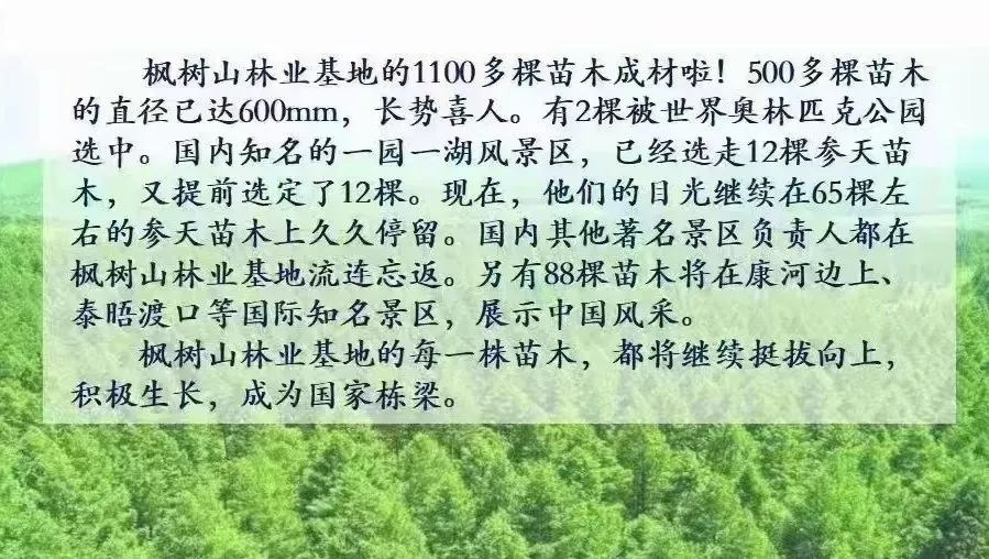 长沙市金海复读 初升高择校参考！长沙多所公民办高中招生录取详情汇总！