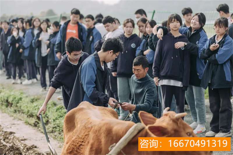 长沙金海复读学校 南京各区中考复读招生简章