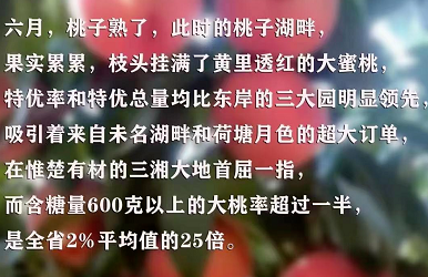 长沙金海中学复读 初升高择校参考！长沙多所公民办高中招生录取详情汇总！