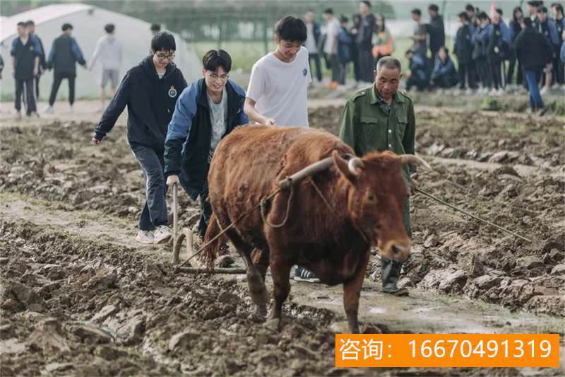 长沙金海复读学校在哪儿 长沙高考复读学校真实排名和特色