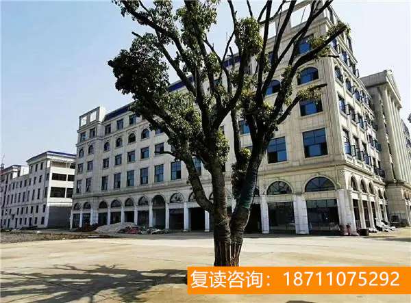 湘军高级中学李佩珂 攻陷天京首功湘军将领李臣典：一身富贵犹如一场梦